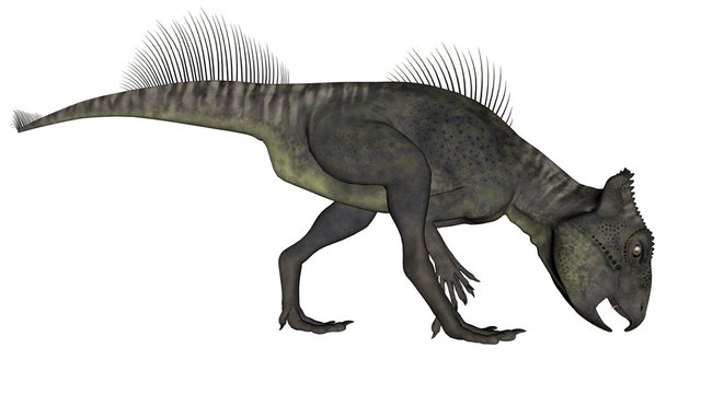 Archaeoceratops dinosaur - 3D render