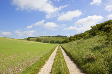 pea field and farm track
