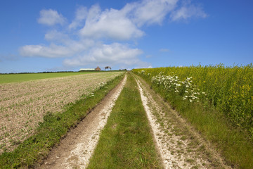 Fototapeta na wymiar hillside farm and track