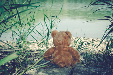 teddy bear