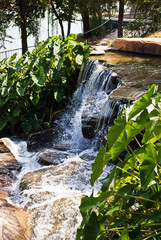 Finlay Park