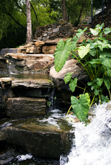 Finlay Park