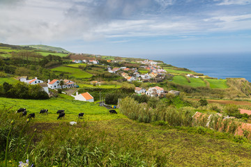 Obraz premium Agricultural land and pastures at Pilar village on Sao Miguel Island