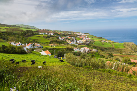 Agricultural land and pastures at Pilar village on Sao Miguel Island