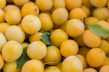 Frisches Obst vom Markt