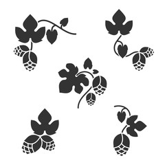  Set of decorative icons with inflorescence and hop leaves. Vector design elements.