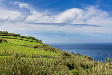 Fototapeta na wymiar Agricultural land and pastures on northern coast Sao Miguel Island