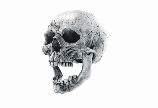 Human Scary Skull Locally Deformed in Rich colors in to the White or Dark Background. Concept of death, horror. Spooky halloween symbol. Illustration of 3D rendering.