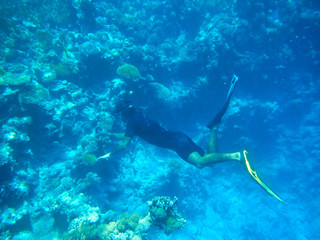 Naklejka na ściany i meble A man under water photographs corals and fish