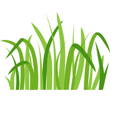 Green grass eco