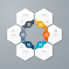 Vector illustration infographics six options