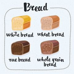 Set of cartoon food: bread - rye bread, ciabatta, wheat bread, whole grain bread, bagel, sliced bread
