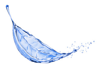 Water splash in the form of a leaf of a tree, isolated on white background