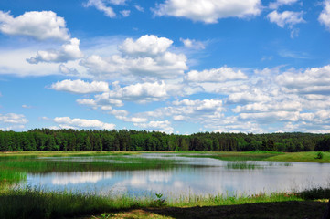 Landscape with lake forest and blue sky with clouds