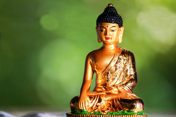 Lord Gautam Buddha concentrating on his meditation.
