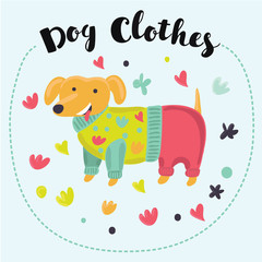 Funny cartoon long Dachshund dogs dressed in colorful clothes