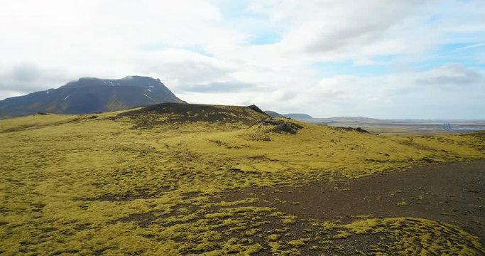 Aerial view of the beautiful landscape, the green lava field in Iceland. Drone flying over the cliffs covered with moss.