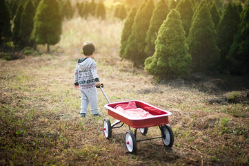 little boy with red wagon - obrazy, fototapety, plakaty