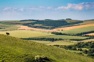 Along the South Downs Way, Sussex
