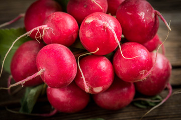 Large bunch of fresh radish.