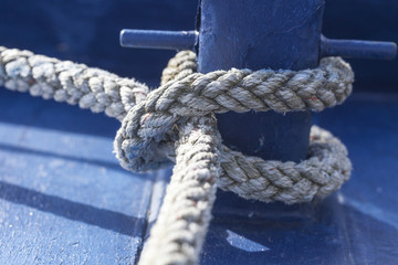 Fototapeta premium Knot