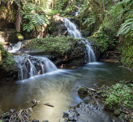 Waterfall in Hawaii Tropical Botanical Garden