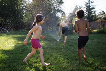Siblings playing with water spray in garden
