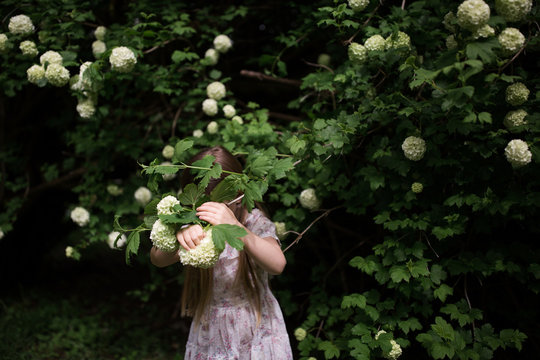 Young girl hiding behind tree branches