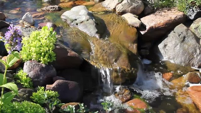 Garden stream flowing through rocks and plants