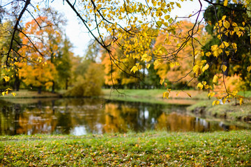 Picturesque views of the Alexander Park in the city of Pushkin in the golden autumn. Tsarskoe Selo,...