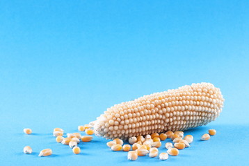 Raw corn on a blue background © Valerii Dekhtiarenko