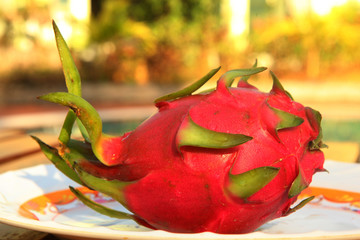 whole dragon fruit on plate on tropical outdoor background photo