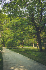A path for walking in the park, in the peso, in the garden.