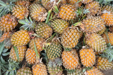 Fototapeta premium Lot of pineapples in the market for sale