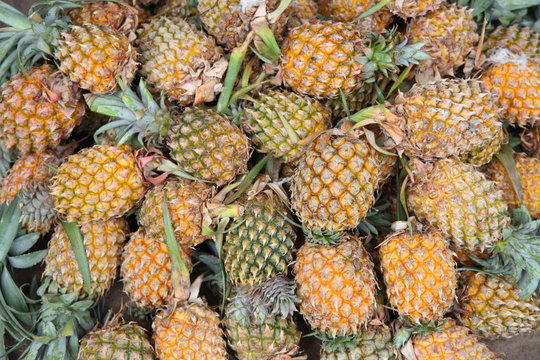 Lot of pineapples in the market for sale