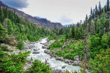 Fototapeta na wymiar Upper Lillooet River Valley - Pemberton, British Columbia, Canada - 2016