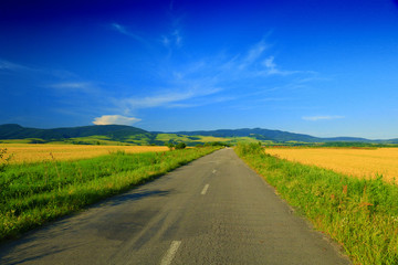 Fototapeta na wymiar Rural road landscape