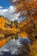Susan River Autumn Reflections