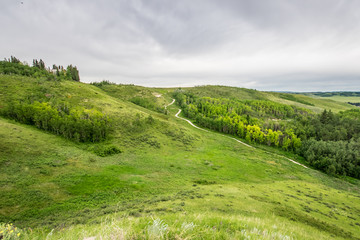 Glenbow Ranch Provincial Park, Calgary, Alberta, Canada