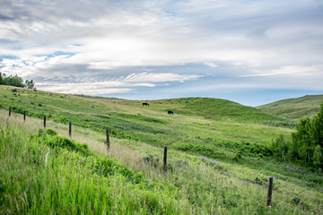 Fototapeta na wymiar Glenbow Ranch Provincial Park, Calgary, Alberta, Canada