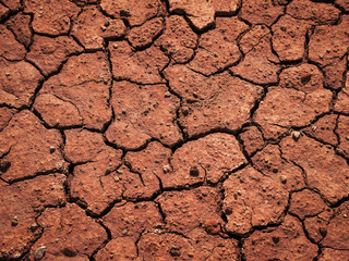 Texture of cracked earth, dried natural surface