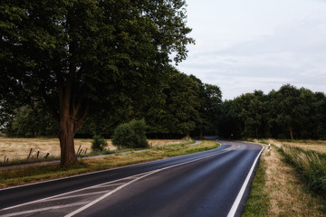 Landstraße am Wald