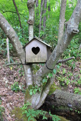 木の股に設置された巣箱(山形県)