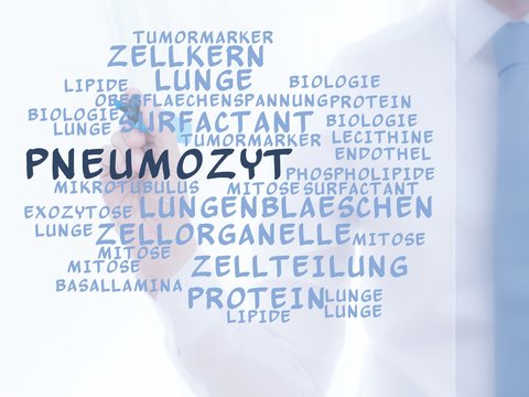 Pneumozyt