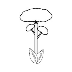 isolated big tree icon vector illustration graphic design