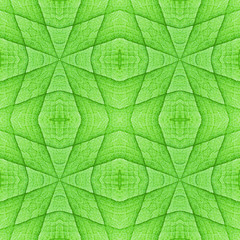 Seamless pattern of leaves for background