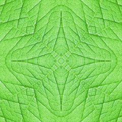 Obraz premium Seamless pattern of leaves for background