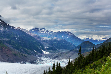 Salmon glacier