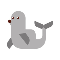 cute seal isolated icon vector illustration design