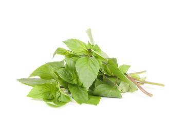 Green Thai Basil